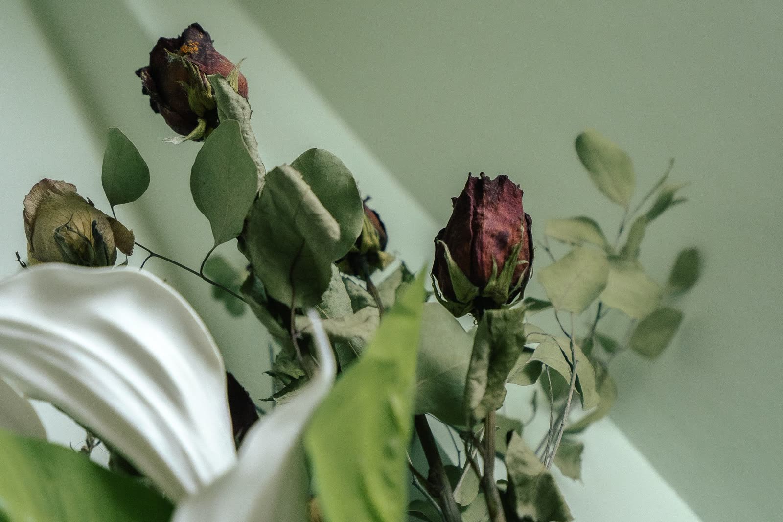 Ramo de novia preservado dentro de una caja de exhibición